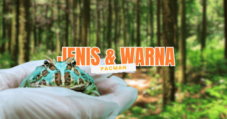 berbagai jenis dan warna warni kodok pacman