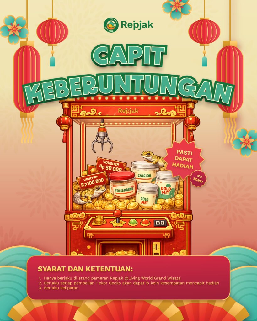 promo imlek capit keberuntungan gecko Repjak
