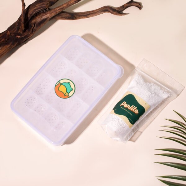 Media Inkubasi Gecko Inkubasi telur gecko, perlite, media inkubasi telur gecko