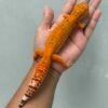 sunspot leopard gecko betina indukan