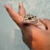 Hypo TUG Snow ph Tremper - Betina - B260537