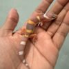 IMG_1276 jual gecko chocolate baby