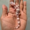 gecko white & yellow mack snow tremper albino baby