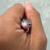 Mack Snow Eclipse het Blizzard - incub Betina - R261418 - RARE GENETICS