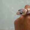 mata gecko creamsicle