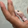 mata gecko black night super raptor