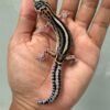 IMG_4260 jual gecko mack snow bold stripe het tremper jantan bahan bagus