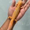 IMG_5474 jual gecko tremper lavender stripe jantan indukan siap kawin