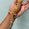 IMG_5713 jual gecko tremper lavender betina indukan gendut lucu