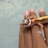 White & Yellow Tangerine Bold Stripe - incub Jantan - R262333 - JARANG ADA